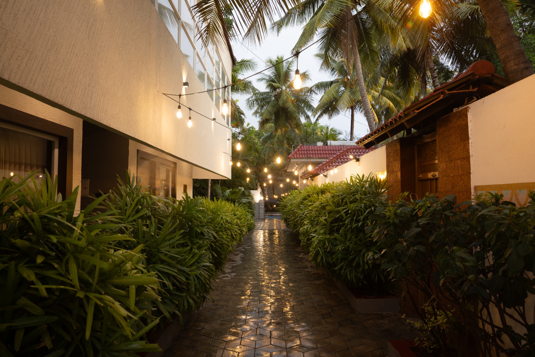 D's Lawn Hall — 2